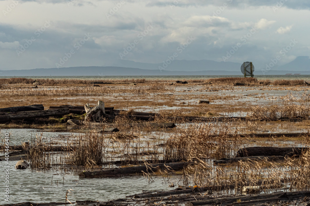 marshland with brown grasses under water after heavy rainfall with cloud covered mountain range over the horizon marshland with brown grasses under water after heavy rainfall with cloud covered mountain range over the horizon