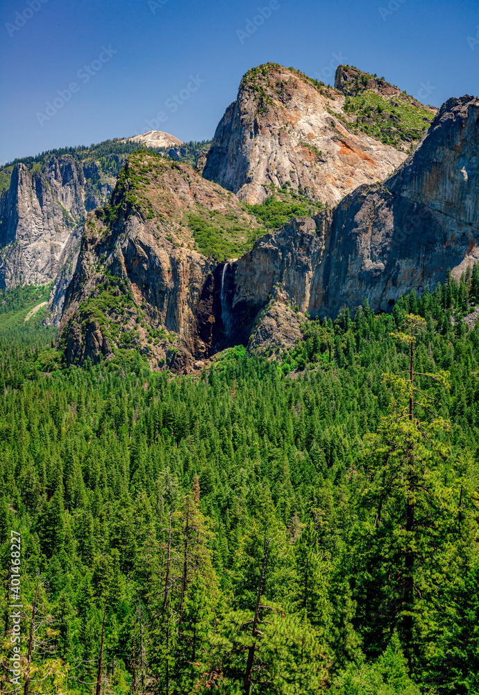 Naklejka premium mountain and forest