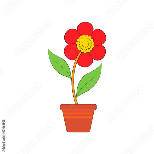 red flower in a pot