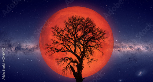 Lone tree with Lunar eclipse and blood moon with milky way galaxy "Elements of this image furnished by NASA" © muratart