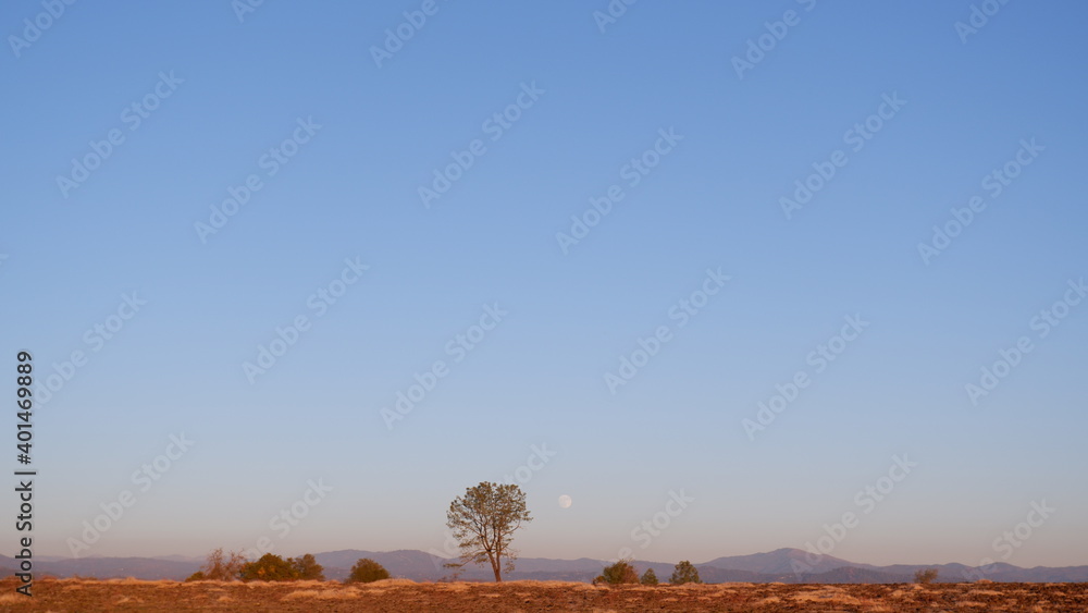 Fototapeta premium Tree with moon with a mountain view