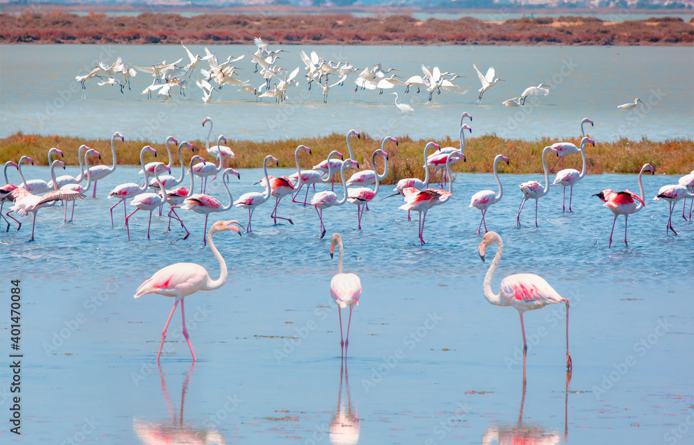 Fototapeta premium Goksu National Park and bird paradise - Silifke, Turkey