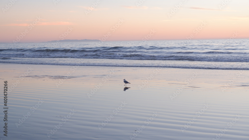 Fototapeta premium Sunset and ocean waves with birds