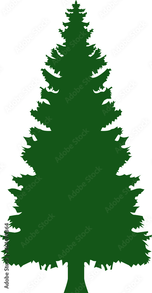 Fototapeta premium Green tree pine forest plant