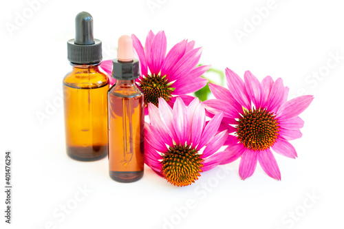 Echinacea medicinal extract as an excellent means of maintaining the immunity