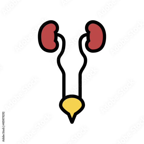 urinary system color icon vector. urinary system sign. isolated symbol illustration