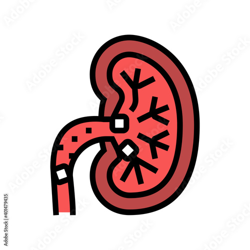 kidney stones color icon vector. kidney stones sign. isolated symbol illustration