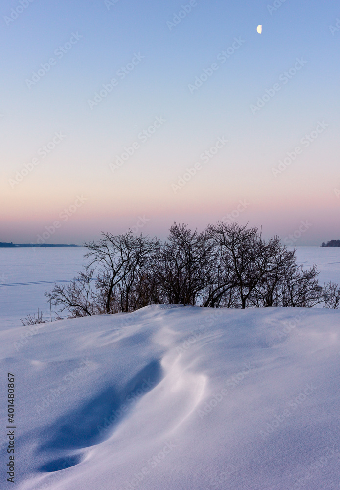 A month over the winter plains - vertically A month over the winter plains - vertically