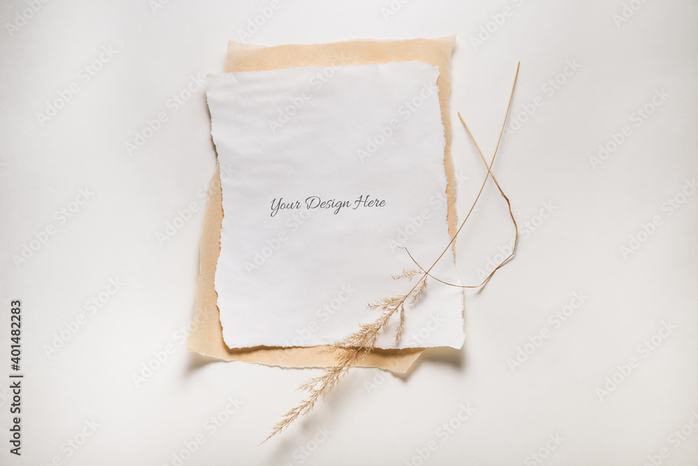 Blank Torned Paper Frame on white background with dried grass