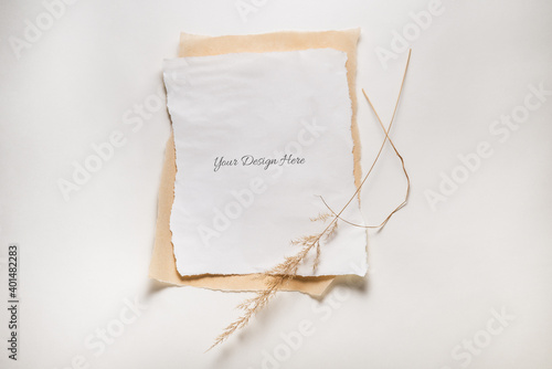 Blank Torned Paper Frame on white background with dried grass