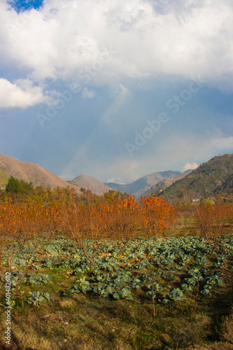 Beautiful Landscape of swat kpk pakistan