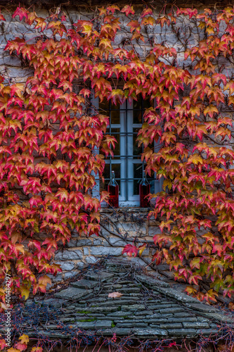 view of traditional architecture  with 2 bottles standing in a window of a stone building covered with red leaves during  fall season in the picturesque village of papigo , zagori Greece
