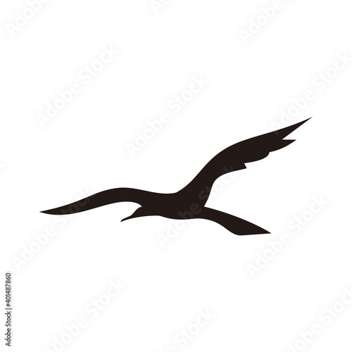 bird, wings logo design template vector illustration