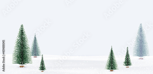 Snowy winter landscape with Christmas trees.