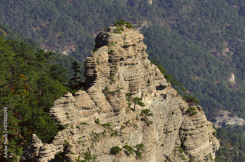 High rock-remnant with geological sedimentary layers in the mountains of Crimea covered with forest