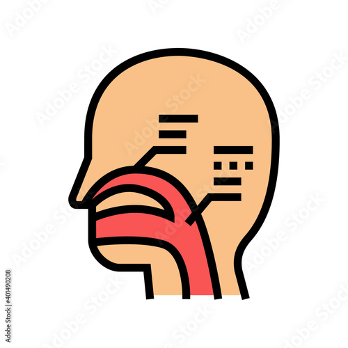 nasal passages color icon vector. nasal passages sign. isolated symbol illustration