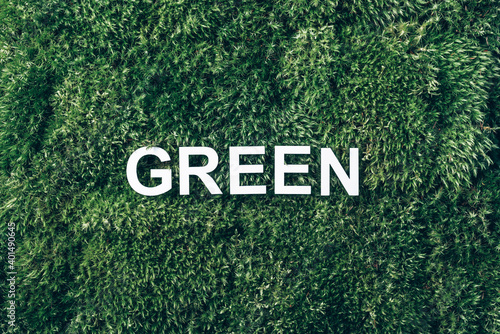 Inscription Green on moss, green grass background. Top view. Copy space. Banner. Biophilia concept. Nature backdrop