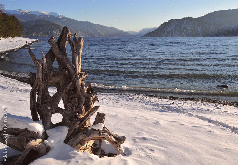 Fototapeta premium Natural sculpture on the shore of lake Teletskoye
