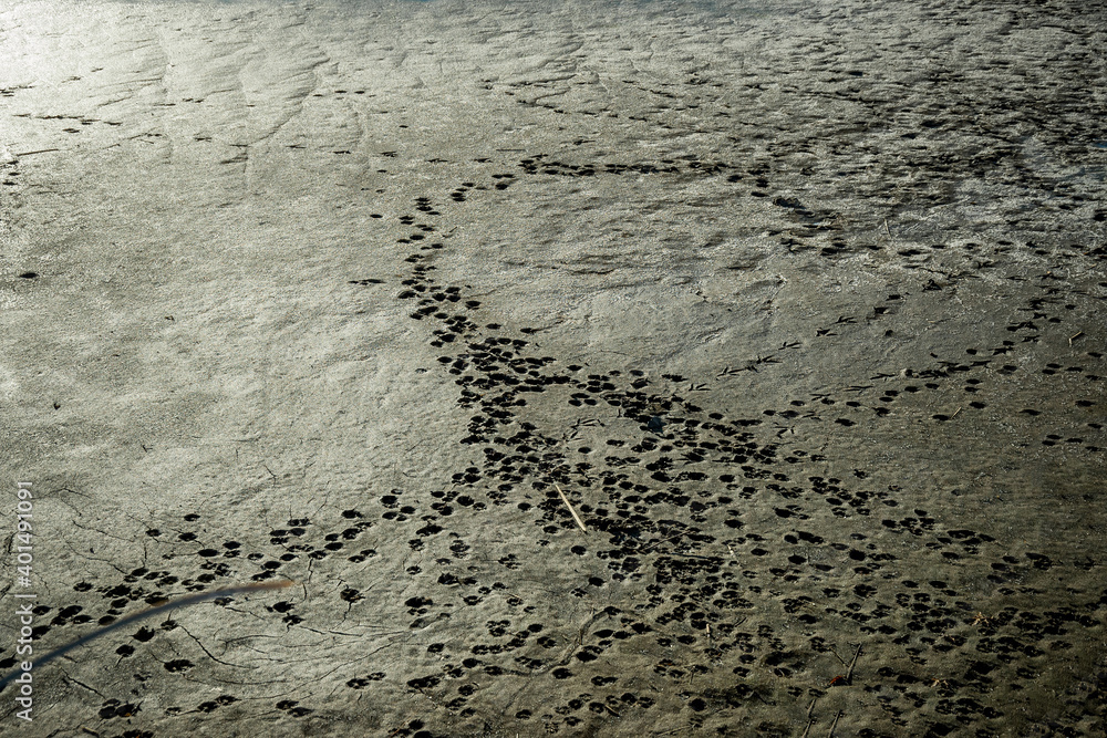Bend of the stream on a flat plane. Bend of the stream on a flat plane.
