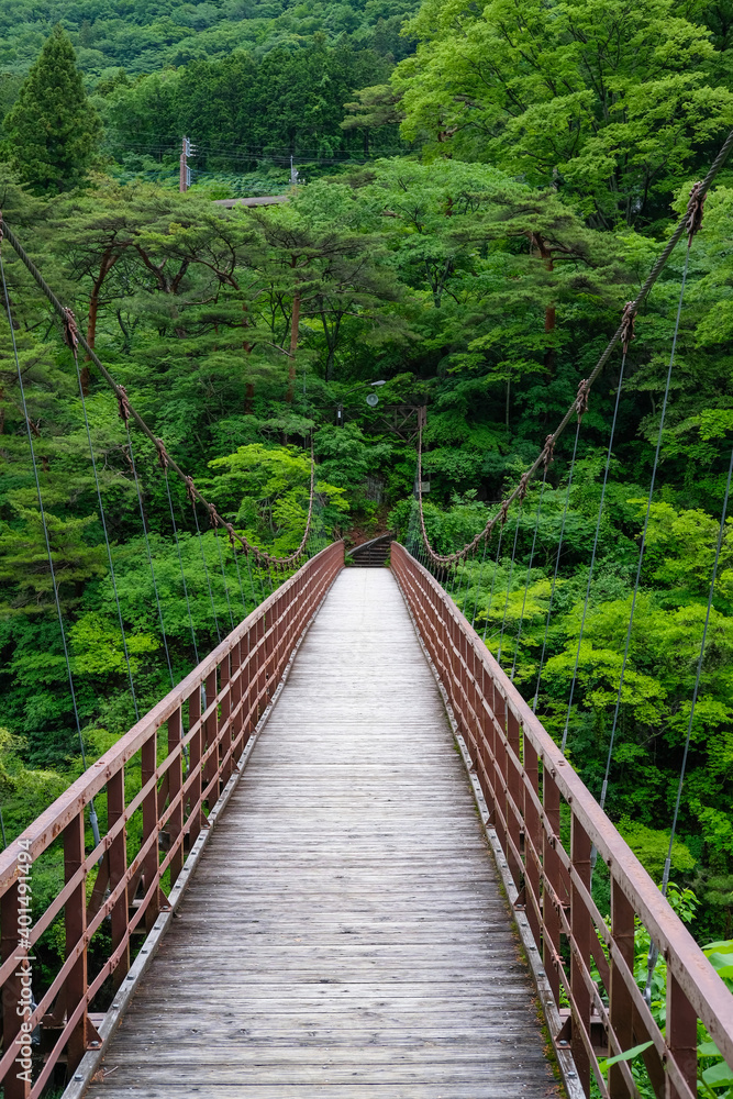 鬼怒川の滝見橋