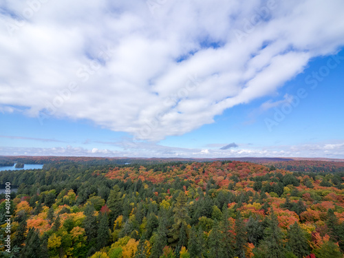 This is a picture of autumn leaves at Mont-Tremblant in the Laurentian plateau in Quebec, Canada. The autumn leaves of the trees by the side of the road are splendid.