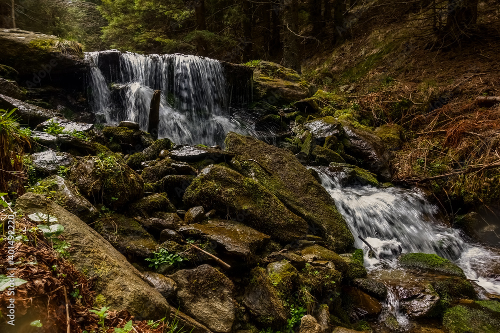 Fototapeta premium torrent with beautiful stage in a forest while hiking