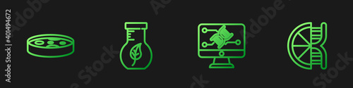Set line Genetic engineering modification, Petri dish with bacteria, Test tube and flask and Genetically modified orange. Gradient color icons. Vector.