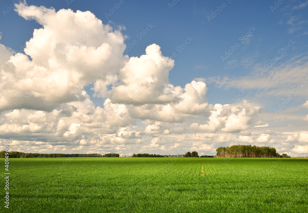 Large clouds over the field Large clouds over the field