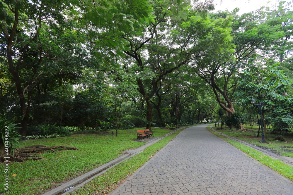 Many big trees provide shade in the park Many big trees provide shade in the park