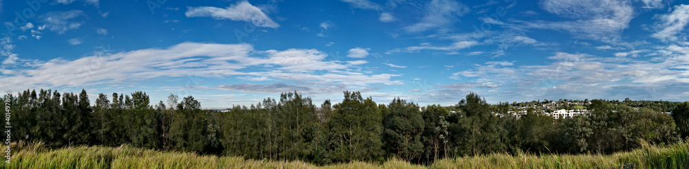 Beautiful panoramic view of a park with tall trees and deep blue sky with white clouds, Millennium parklands, Newington, Sydney, New South Wales ,Australia
