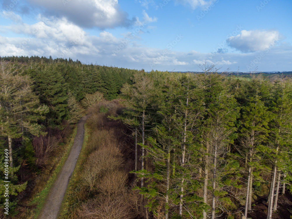 aerial drone photo of idless woods near Truro cornwall uk 