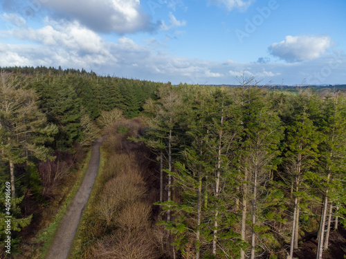 aerial drone photo of idless woods near Truro cornwall uk 