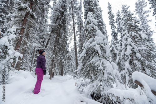 Woman walking through snow covered woods, trees in winter time with huge amount of snowy whiteness surrounding person in deep, wilderness woods. 
