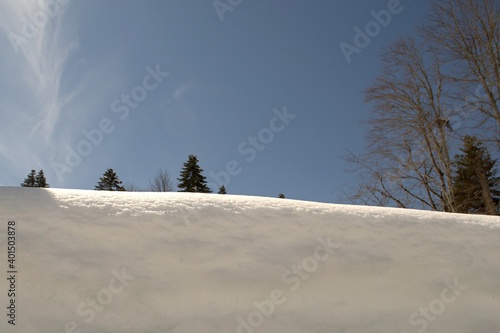 High snowdrifts against the background of fir trees and blue sky.