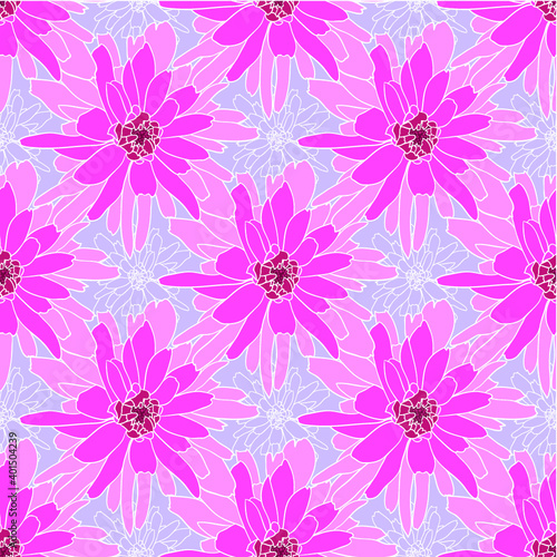 Seamless floral pattern with rosy chrysanthemum