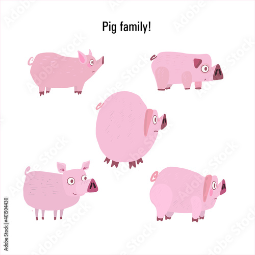 vector image of stickers of pigs © Sofia