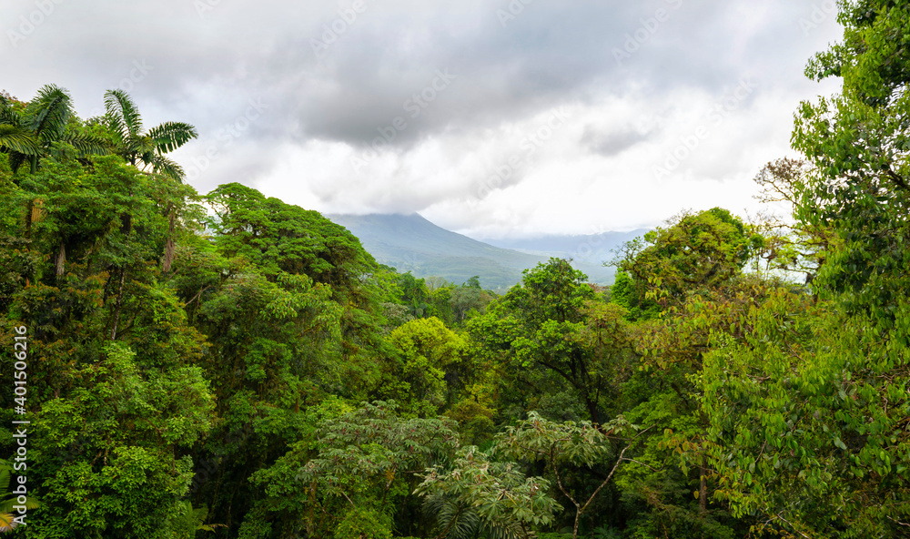 Mountainous Nature in Mistico Arenal Hanging Bridges Park in Costa Rica, Central America. Cloud forest.