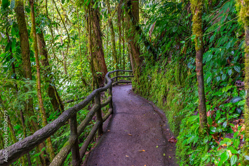 Mistico Arenal Hanging Bridges Park in Costa Rica, Central America. Cloud forest. photo