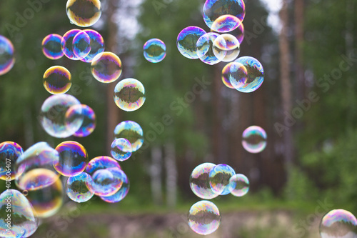 bubbles in the forest