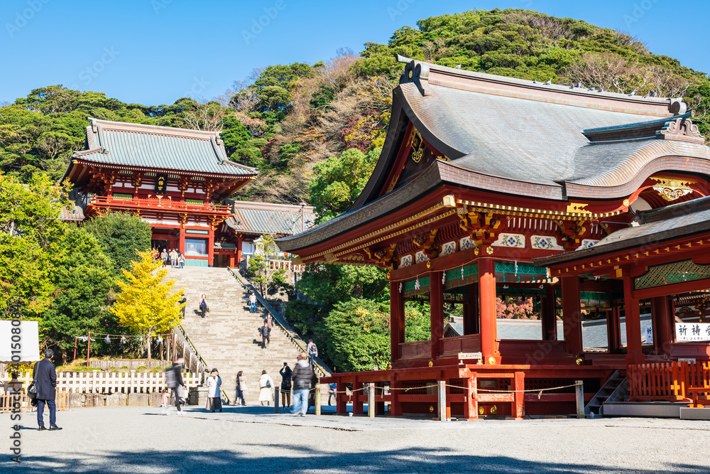 Fototapeta premium 鎌倉 鶴岡八幡宮