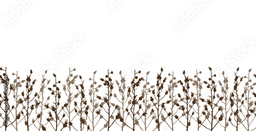 Seamless border with rose hips - rosehips  branches with berries on white background for natural design