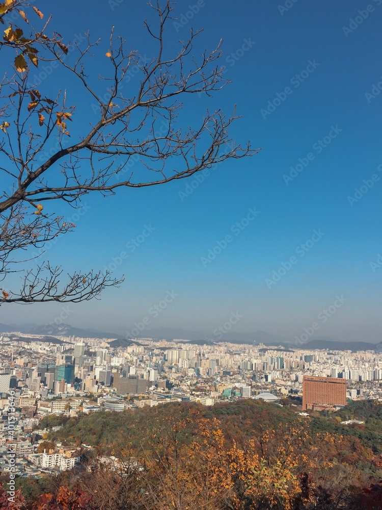 view of the Seoul city from the hill