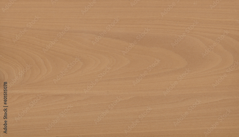 Naklejka premium Natural crown cut walnut wood veneer texture