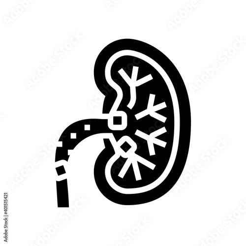 kidney stones glyph icon vector. kidney stones sign. isolated contour symbol black illustration