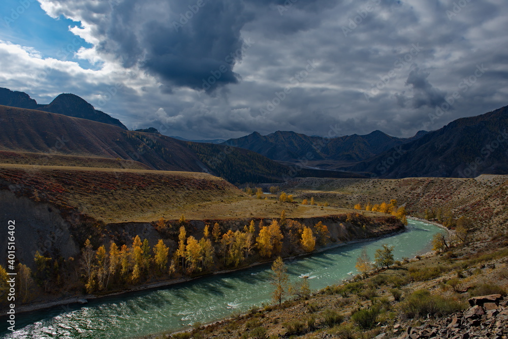 Naklejka premium Russia. Mountain Altai. Autumn coast of the Katun river near the mouth of the right tributary of the Chuya.