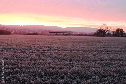 kalter Sonnenaufgang Weinheim Waid