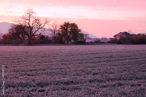 kalter Sonnenaufgang Weinheim Waid