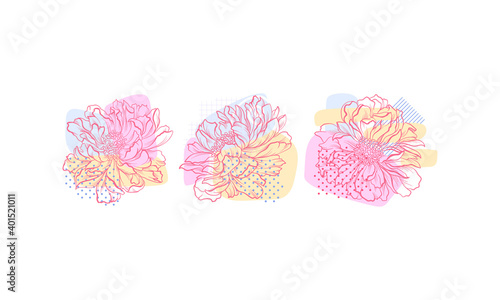 Fototapeta Naklejka Na Ścianę i Meble -  Stylized Flower Bud with Pink Stroke Petal and Shapes Behind Vector Set