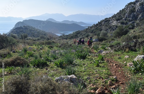 Tourists walking along a mountain forest road.Tourists on a hike.