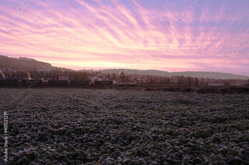 kalter Sonnenaufgang Weinheim Waid